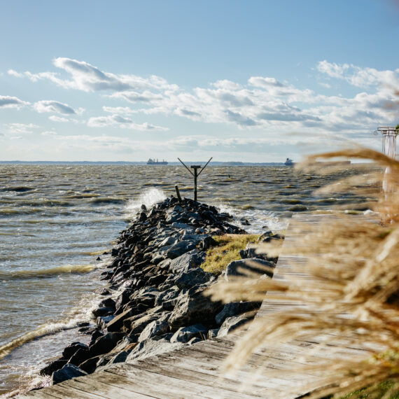 img-0674-2856-possiblecover